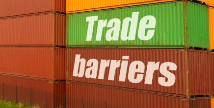 Mnangagwa calls for removal of trade barriers to unlock COMESA's US$1.23 trillion market