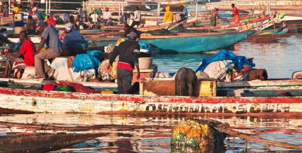 Sixty Senegalese leaders armed with skills to turn social protection into growth engine
