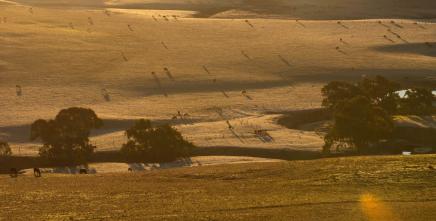 Equipping Leaders to Resolve Land Challenges in Africa through a Political Economy Approach