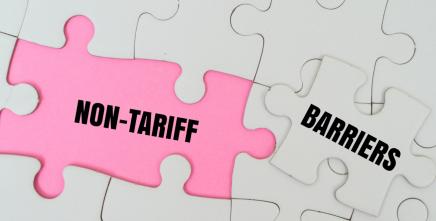 AfCFTA: ECA strengthens national implementing committees to expand Central Africa’s participation in preferential trade