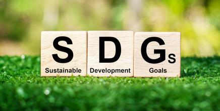 Accelerated Implementation of AfCFTA Agreement: Driving sustainable development and economic transformation in Southern and Eastern Africa Regions