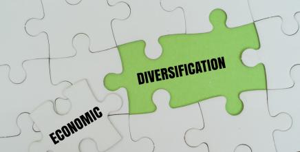 Afrique centrale : des ambassadeurs de la diversification économique pour un nouveau récit de la transformation structurelle