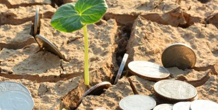 Climate finance: nearly US$3 trillion needed to implement Africa's NDCs