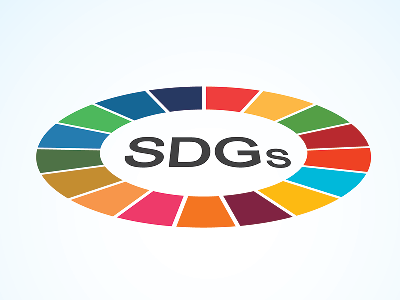 Senegal embarks on localising the SDGs for greater, local development impact
