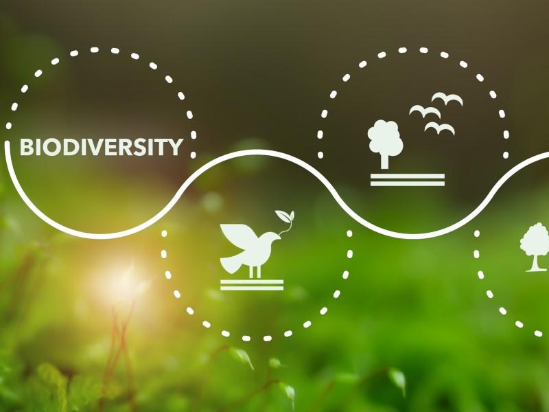 Armenia and ECA mark International Day for Biodiversity with a call for local action and global impact