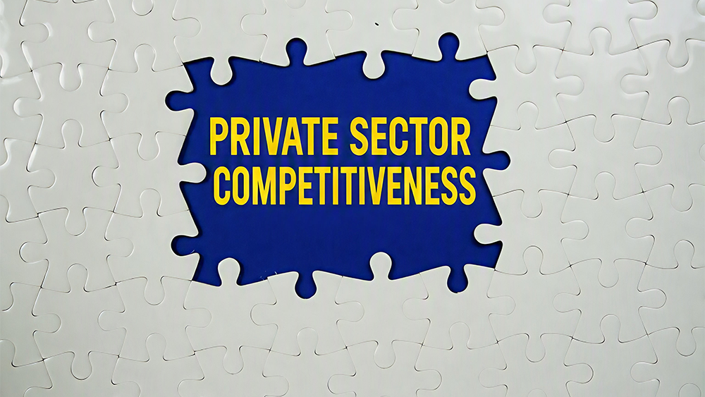 Central Africa must accelerate reform implementation to strengthen private sector competitiveness
